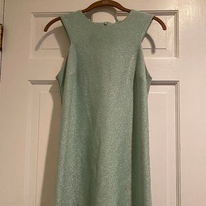 Topshop Mint Sparkle Dress